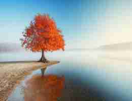 sslchannel插‍件​教﻿学‍